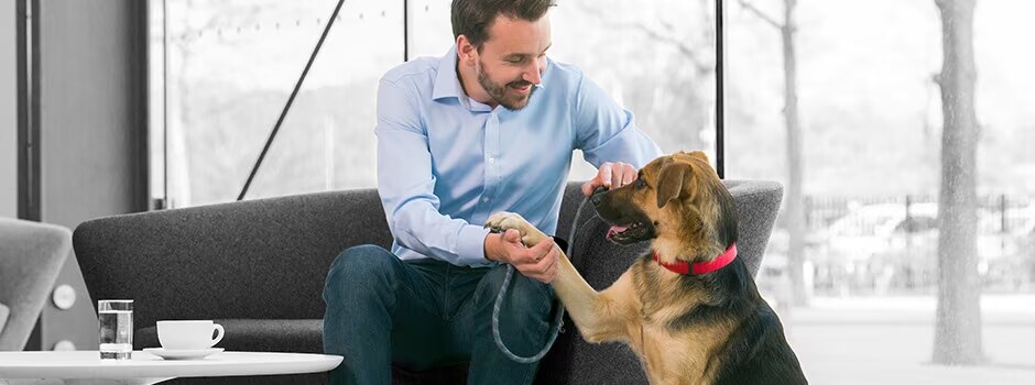 Состав кормов для кошек и собак Purina | Purina